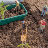 Co pěstovat sazenice? Výběr lepší nádrže